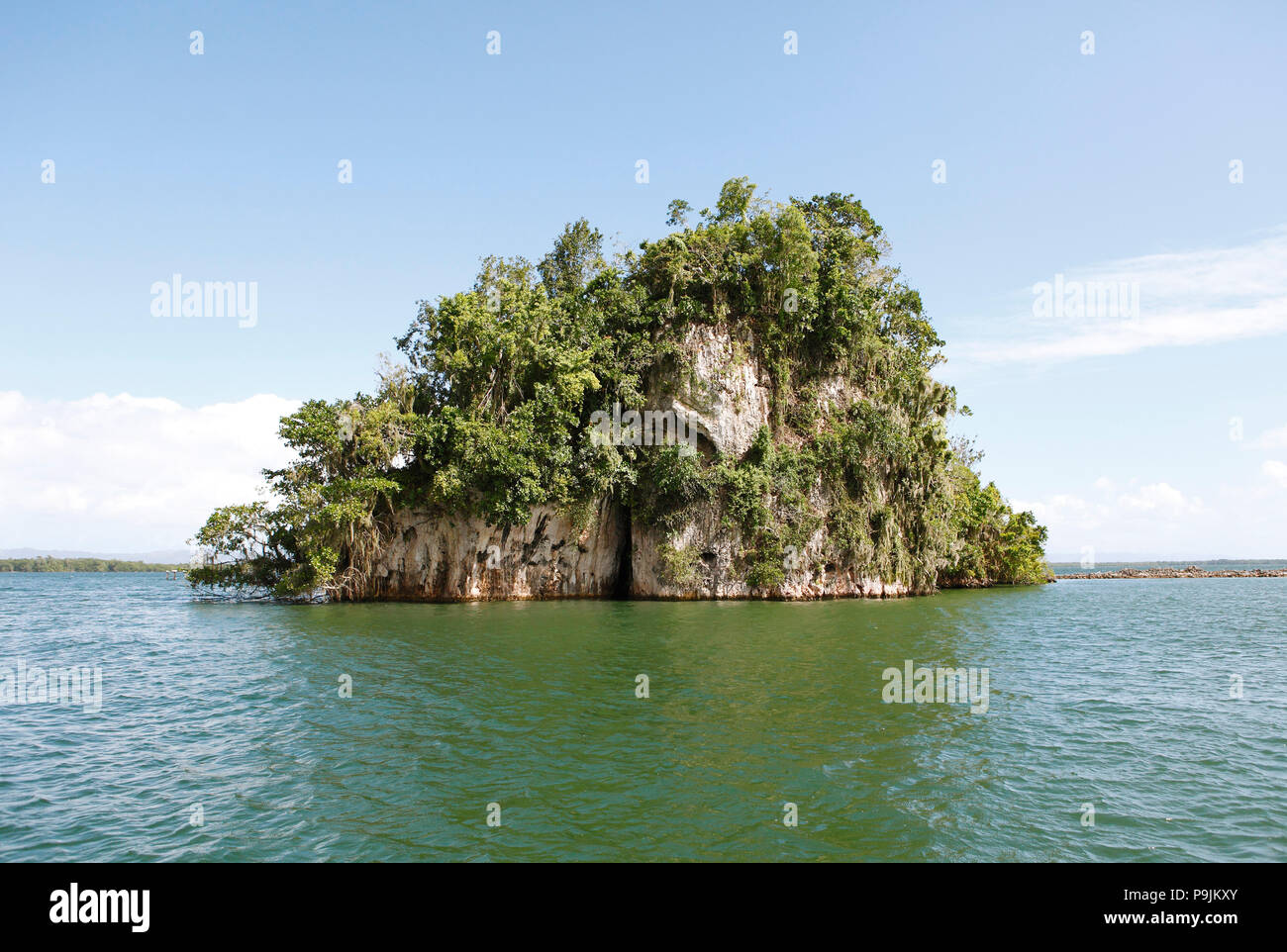 Cayo ou Rock Island, parc national Los Haitises, province de Samaná, République Dominicaine Banque D'Images