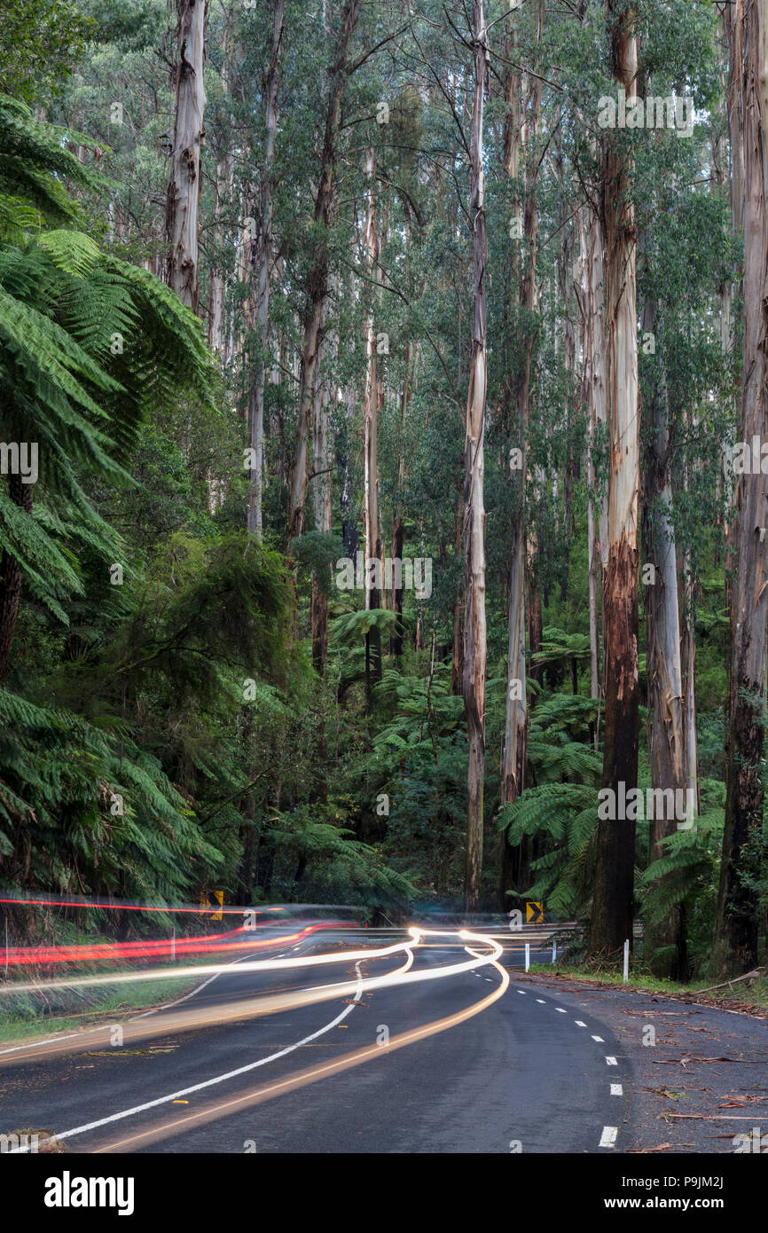 Route sinueuse avec de légères traces, Maroondah Autoroute, Victoria, Australie Banque D'Images