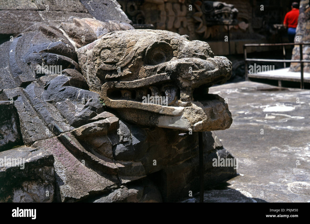 Teotihuacan, Temple de Quetzalcoatl, la sculpture de la tête d'un serpent sortant d'une sorte de front… Banque D'Images