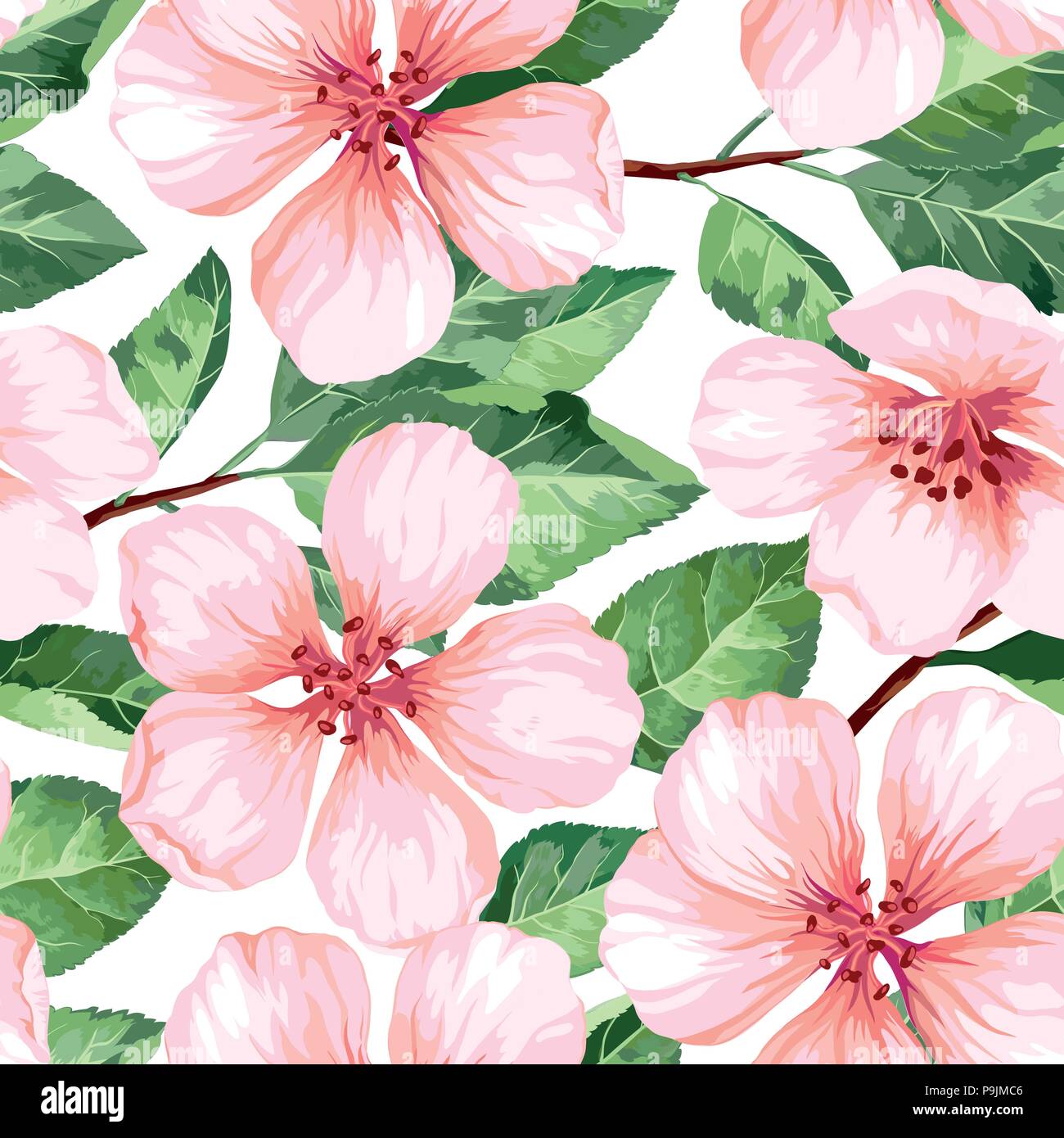 Modèle transparent avec fleurs de pommier en fleurs. Texture sans fin dans l'élégance vintage style aquarelle sur fond blanc. Illustration de Vecteur
