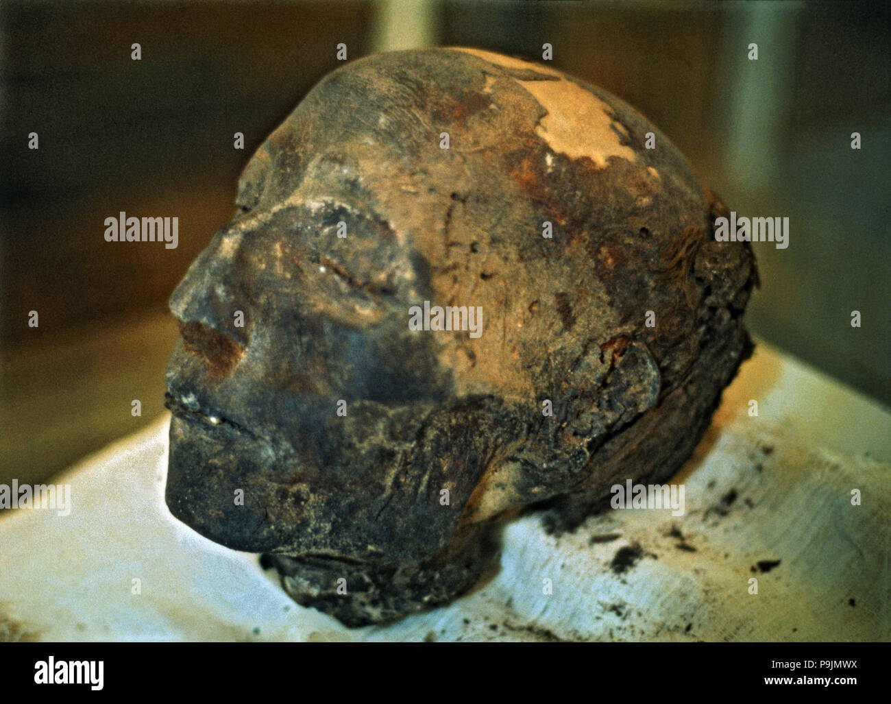 La tête momifiée du patron de l'équipe royal. De la tombe de Nebera. Banque D'Images