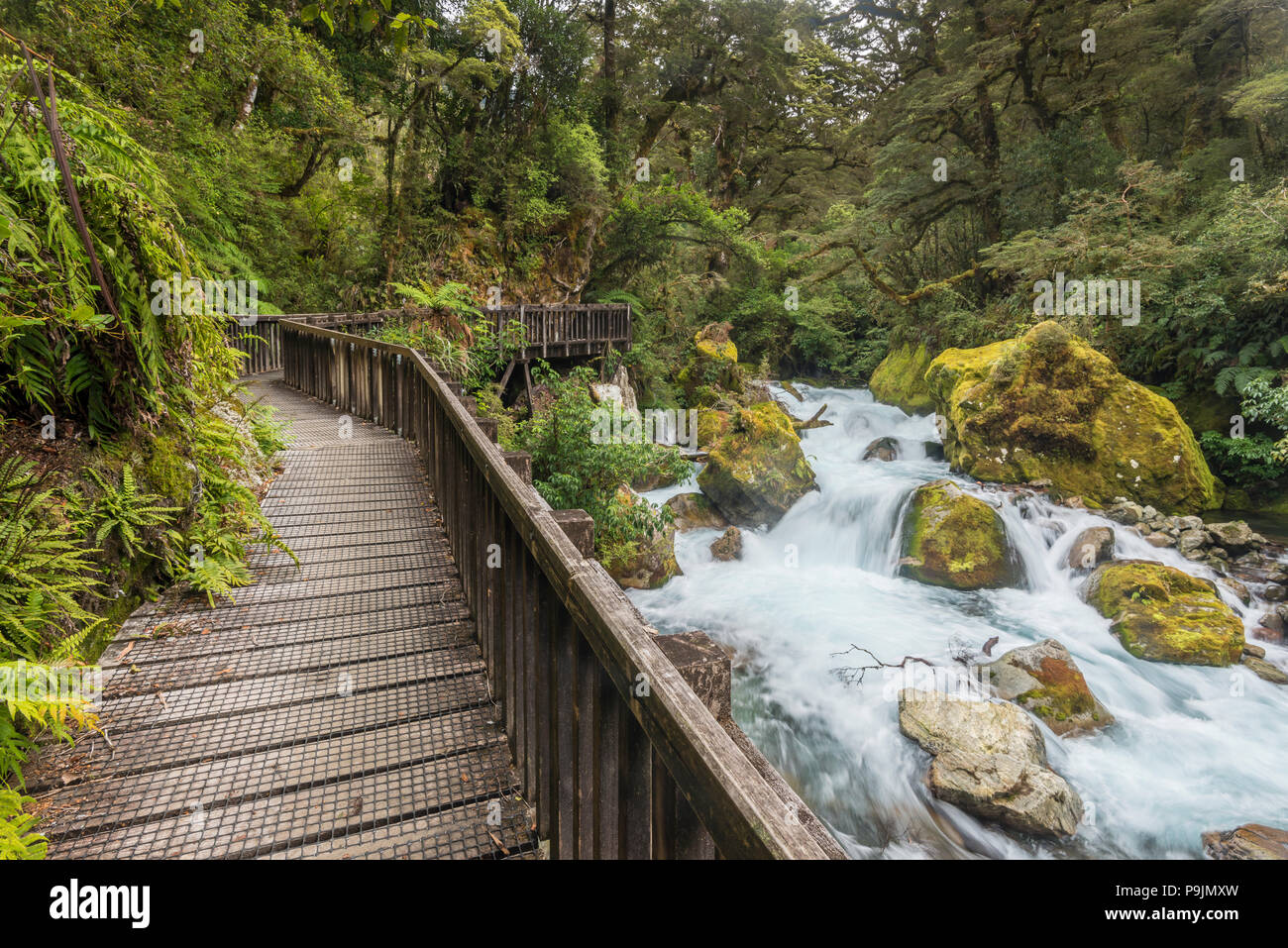 Passerelle en bois à Marian Falls, menant au lac de Marian, Fiordland National Park, Te Anau, Nouvelle-Zélande, Southland Banque D'Images