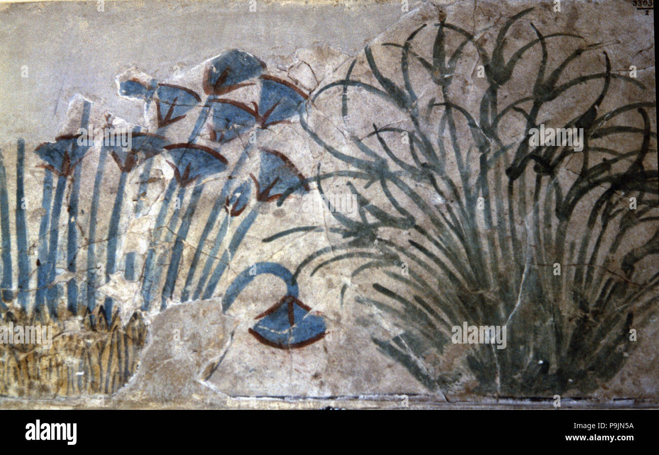 La peinture de motifs végétaux du palais d'Akhenaton. Banque D'Images