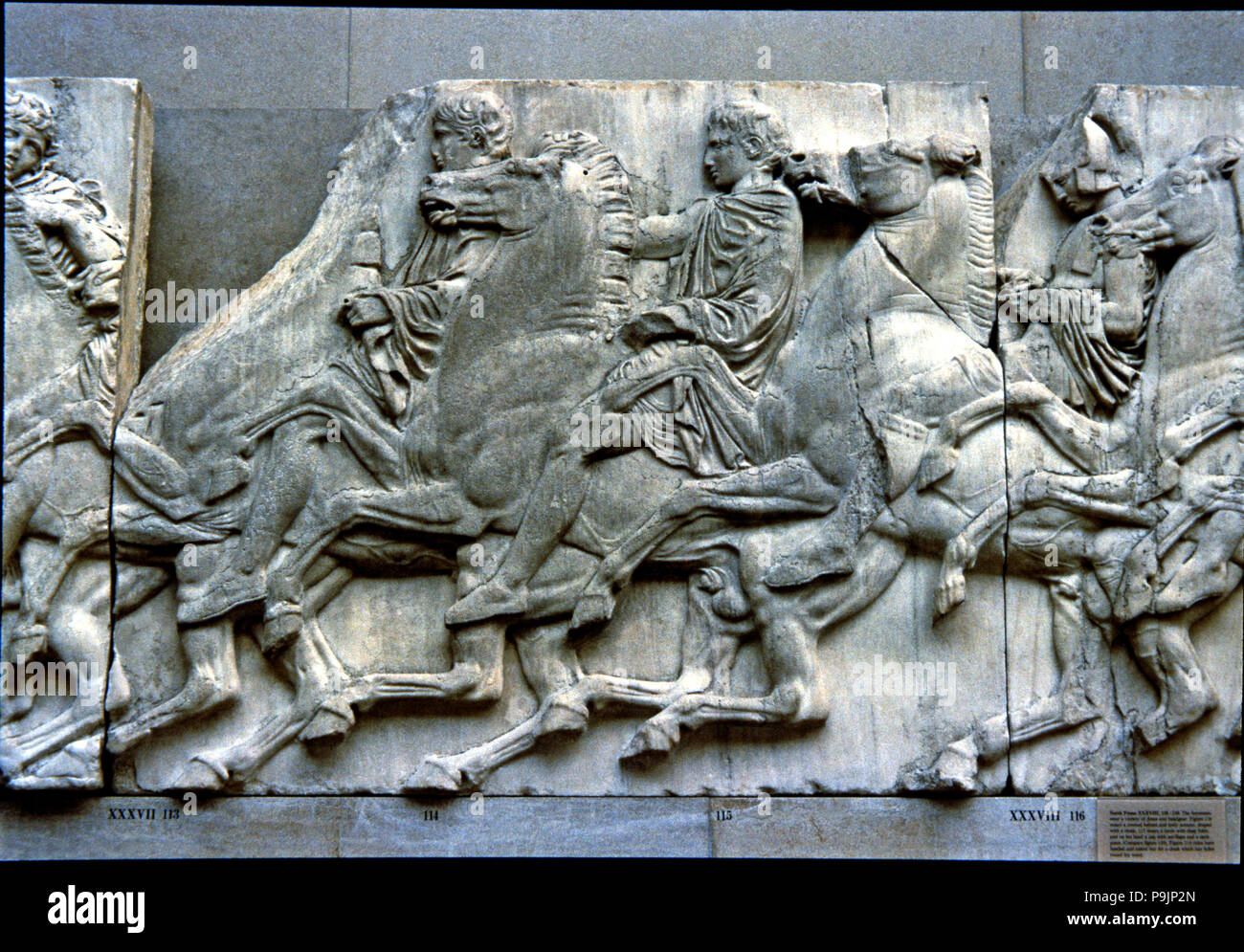 Frise ouest du Parthénon représentant certains compagnons cavaliers avec la préparation de l'Parrathen… Banque D'Images