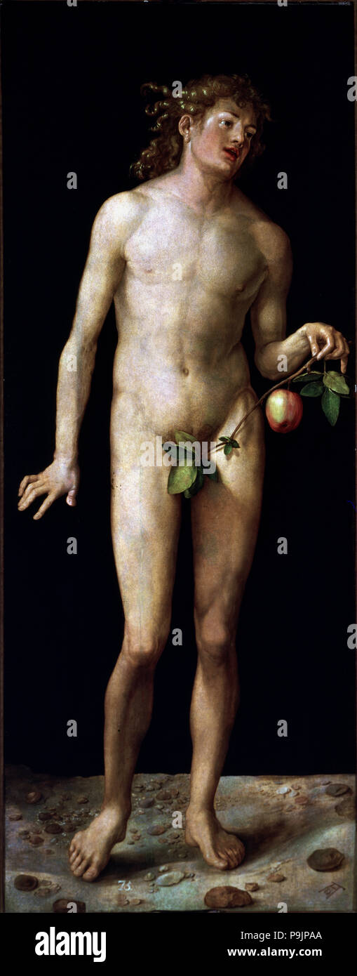 'Adam', huile sur toile par Albrecht Dürer. Banque D'Images