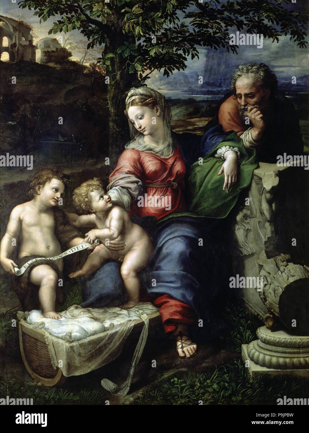 La Sainte Famille de la Oak' peinture de Raphaël Sanzio (1483-1520). Banque D'Images