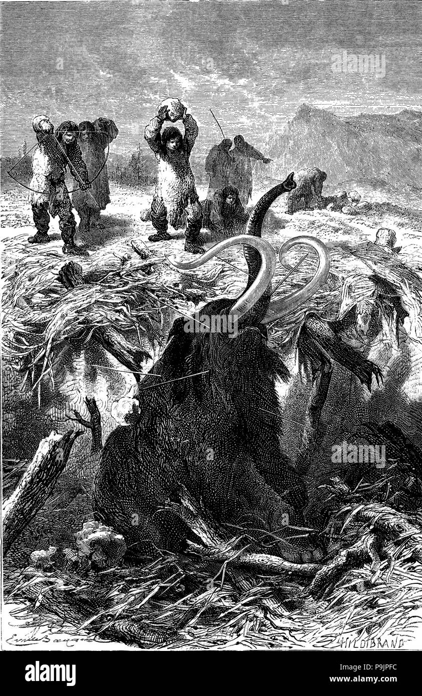 La chasse au mammouth dans l'âge de pierre, gravure, 1900. Banque D'Images
