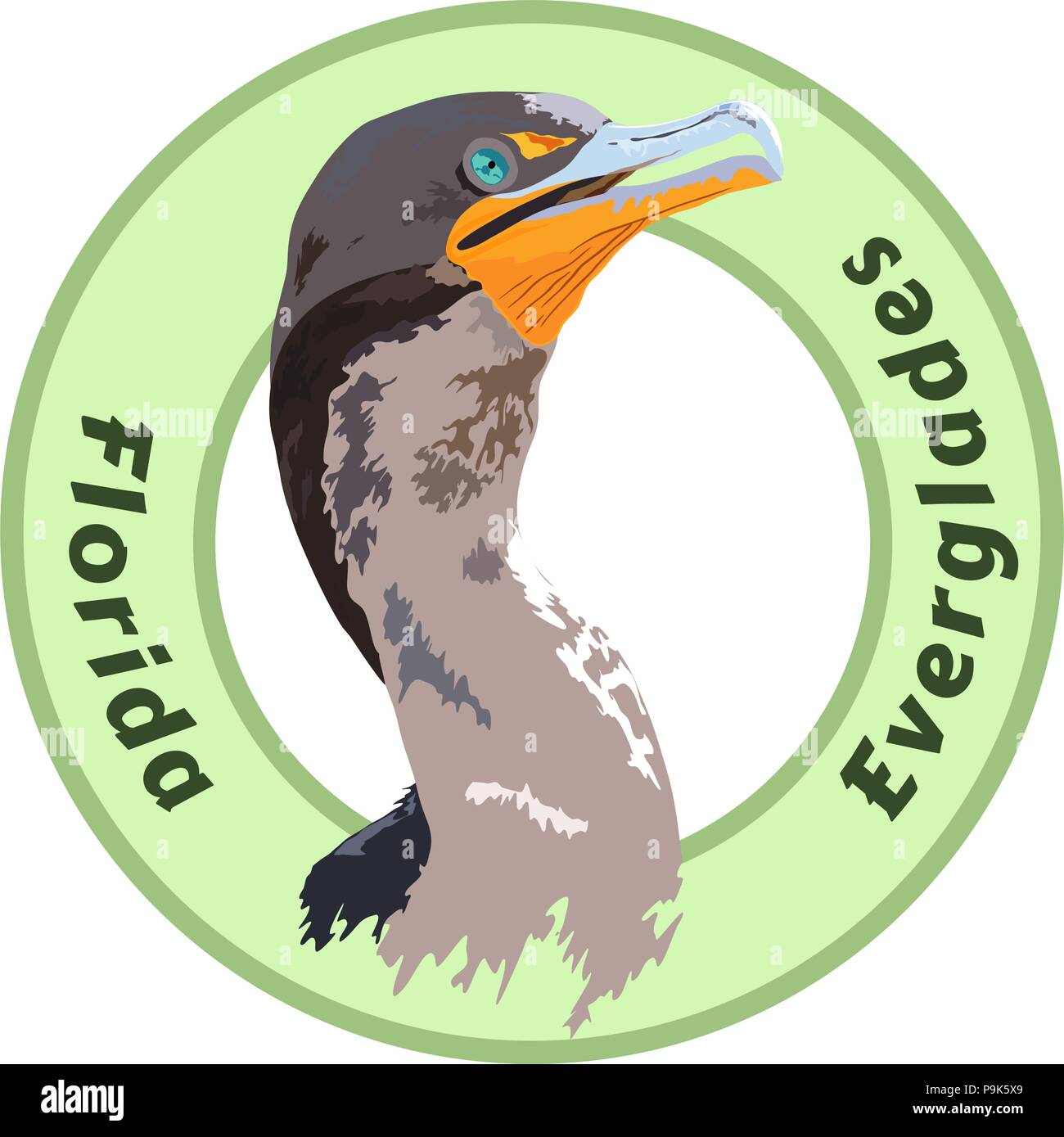 Florida Everglades National Park Cormorant - conception détaillée de vecteur Illustration de Vecteur