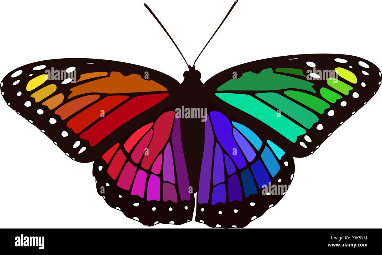 Papillon à ailes arc-en-ciel - Design Numérique vecteur monarque Illustration de Vecteur