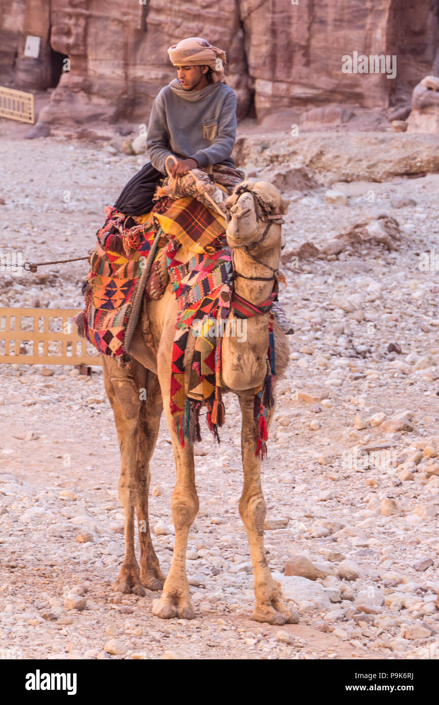 PETRA, JORDANIE - 28 avril 2016 : Jeune homme Bédouin monté sur son chameau à Petra en Jordanie Banque D'Images