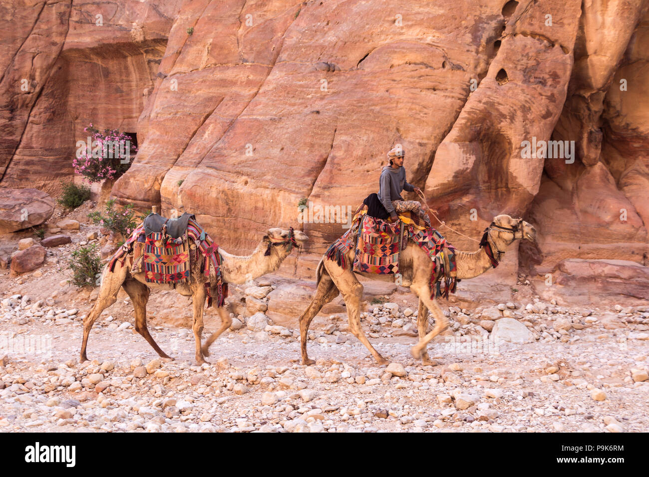 PETRA, JORDANIE - 28 avril 2016 : Jeune homme Bédouin monté sur son chameau à Petra en Jordanie Banque D'Images