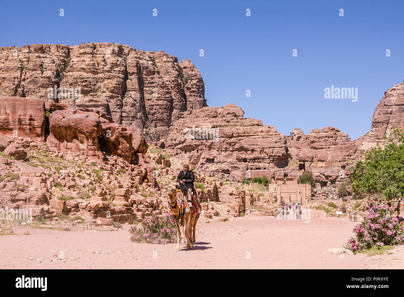 PETRA, JORDANIE - 30 avril 2016 : Un bedouinman à cheval sur un chameau je Banque D'Images