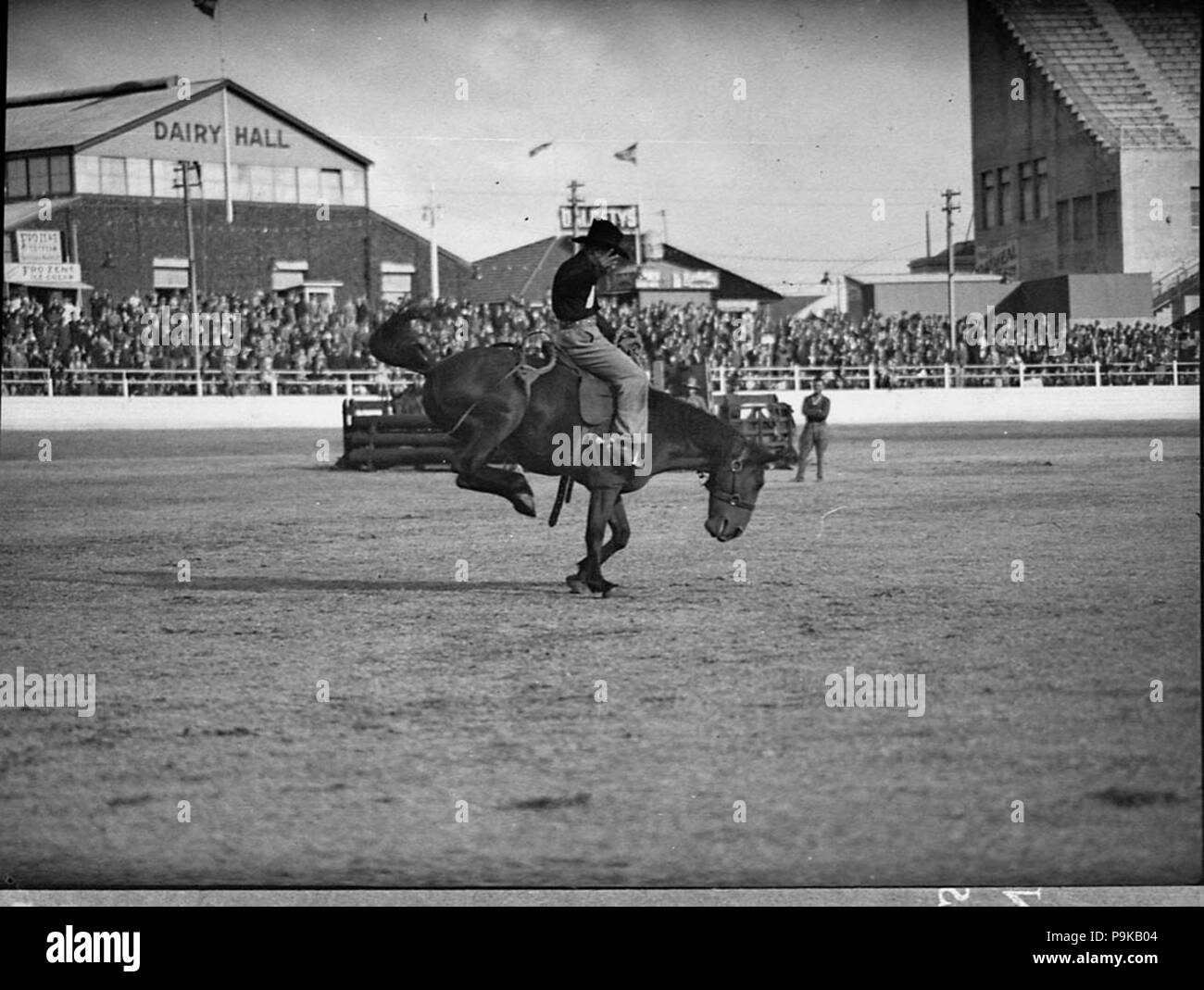 245 22309 SLNSW Royal Easter Show Banque D'Images