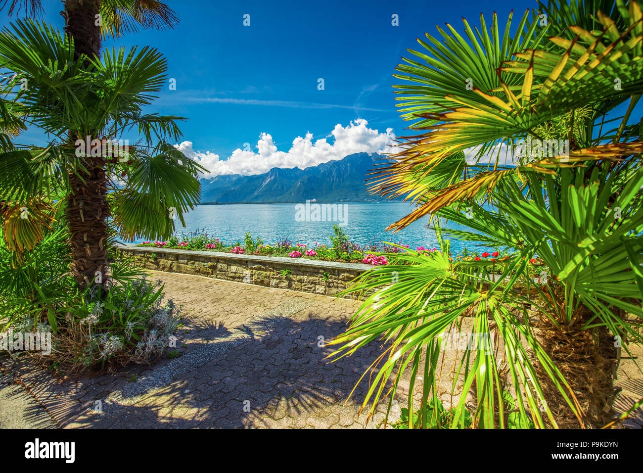 La ville de Montreux avec des Alpes suisses, le lac de Genève et sur la région de Lavaux, dans le Canton de Vaud, Suisse, Europe. Banque D'Images