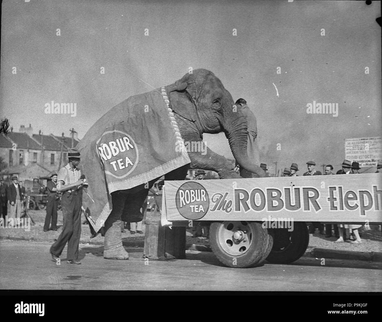 275 75198 SLNSW publicité éléphant Robur Plateau Banque D'Images