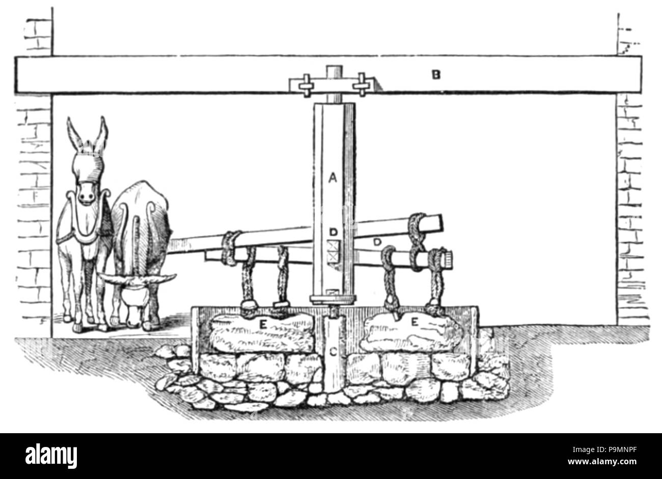 157 Arrastre -ou- gringing Tahona mill Banque D'Images