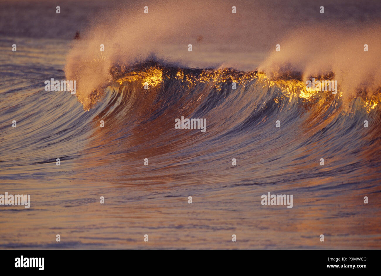 Lever du soleil réfléchissant sur une vague rompant avec les vents du large. Banque D'Images