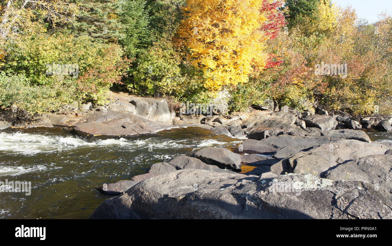 Rivière coulant au milieu des rochers, bordée d'une forêt en automne Banque D'Images