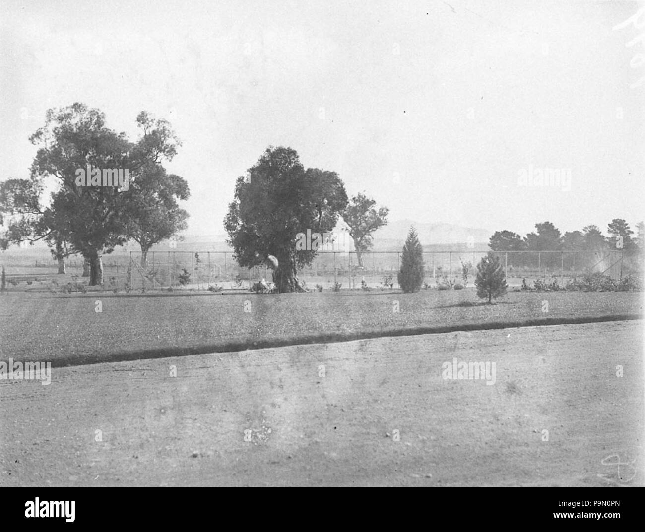 Campagne 9236 SLNSW 298 Banque D'Images