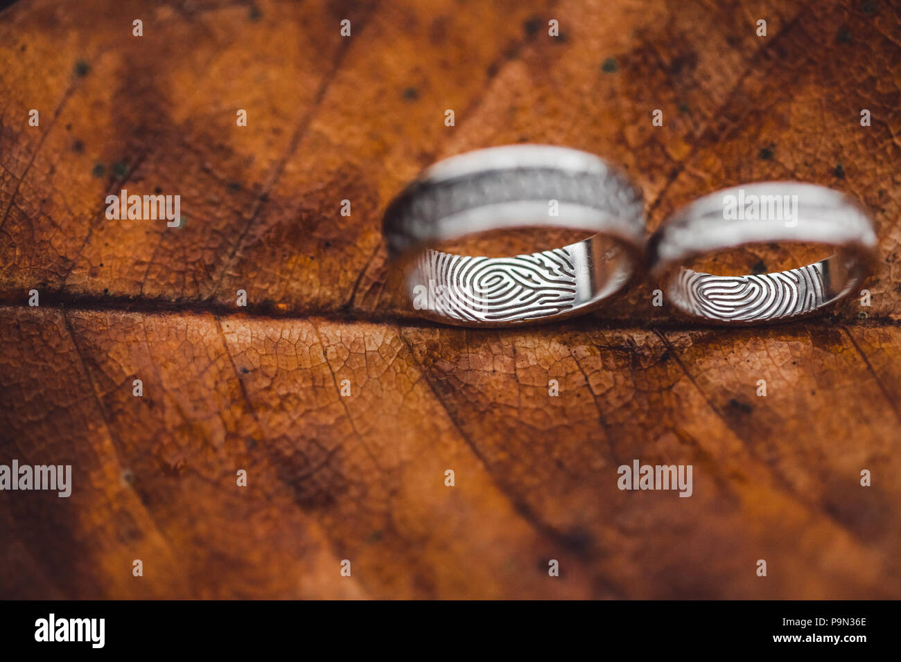 Les alliances avec les empreintes digitales close-up sur les feuilles d'automne brun texture squelette Banque D'Images