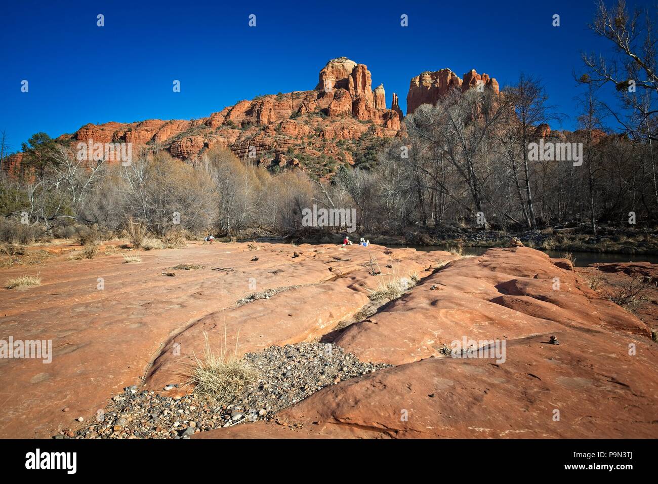 Oak Creek et Cathedral rock, red rock crossing, Arizona Sedona USA Banque D'Images