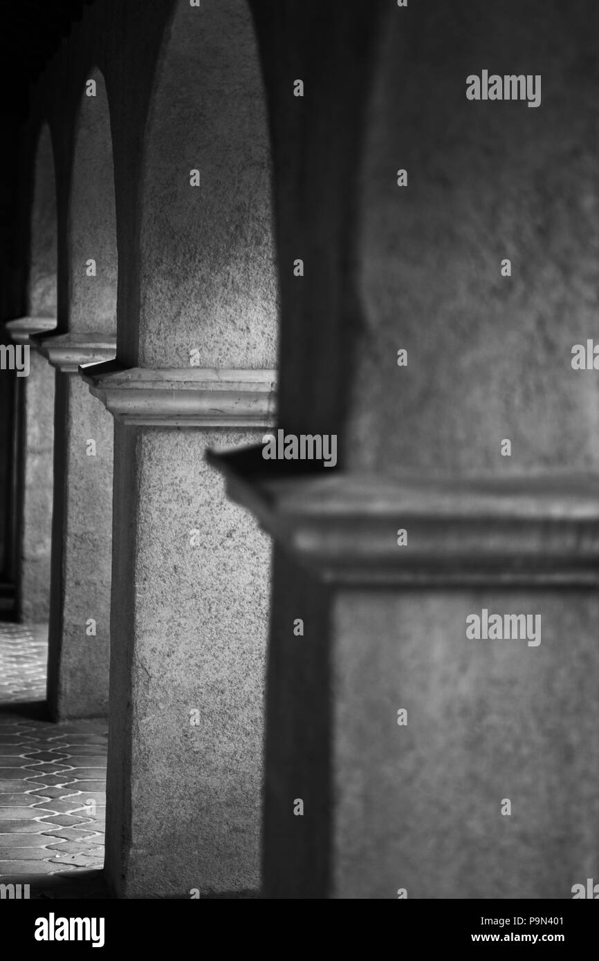 Photo en noir et blanc d'une file de colonnes Banque D'Images Photo en noir et blanc d'une file de colonnes Banque D'Images