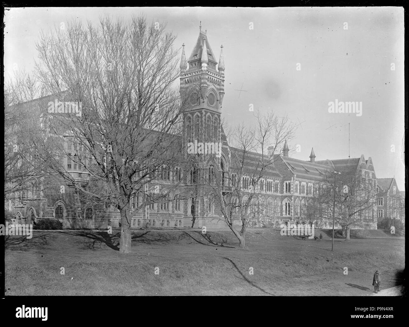 323 Avis d'Otago University College. 294735 ATLIB Banque D'Images