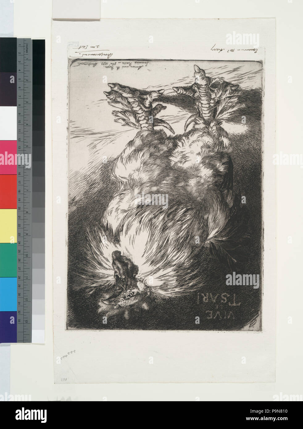 10 (le coq de France.) (NYPL)14830733-1152482 b Banque D'Images 10 (le coq de France.) (NYPL)14830733-1152482 b Banque D'Images