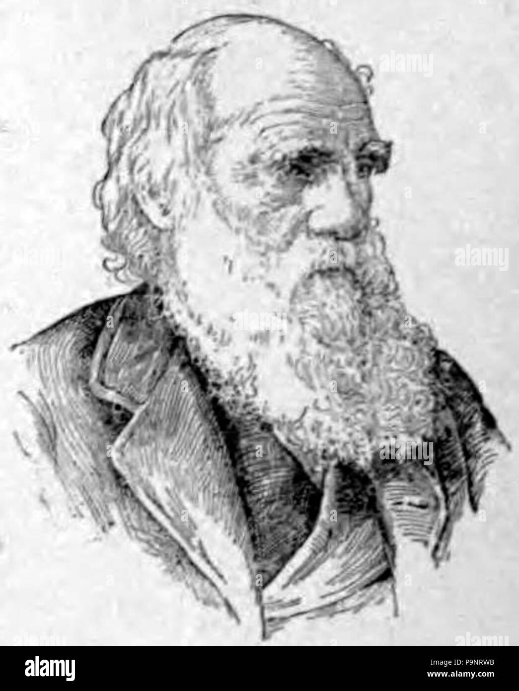 143 Appletons' Darwin Charles Robert Banque D'Images