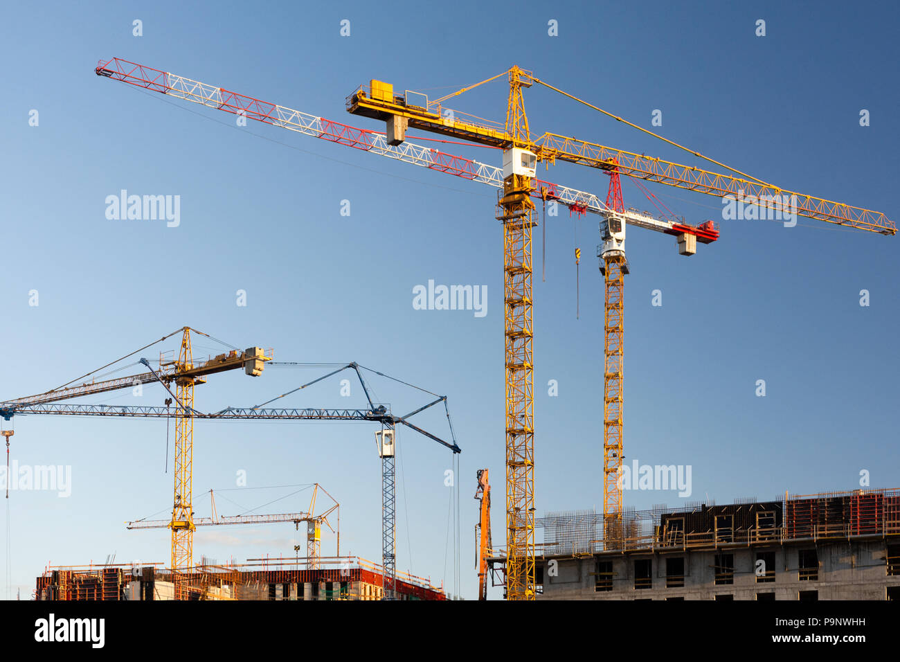 Groupe de grues de construction sur un fond de ciel bleu. Banque D'Images