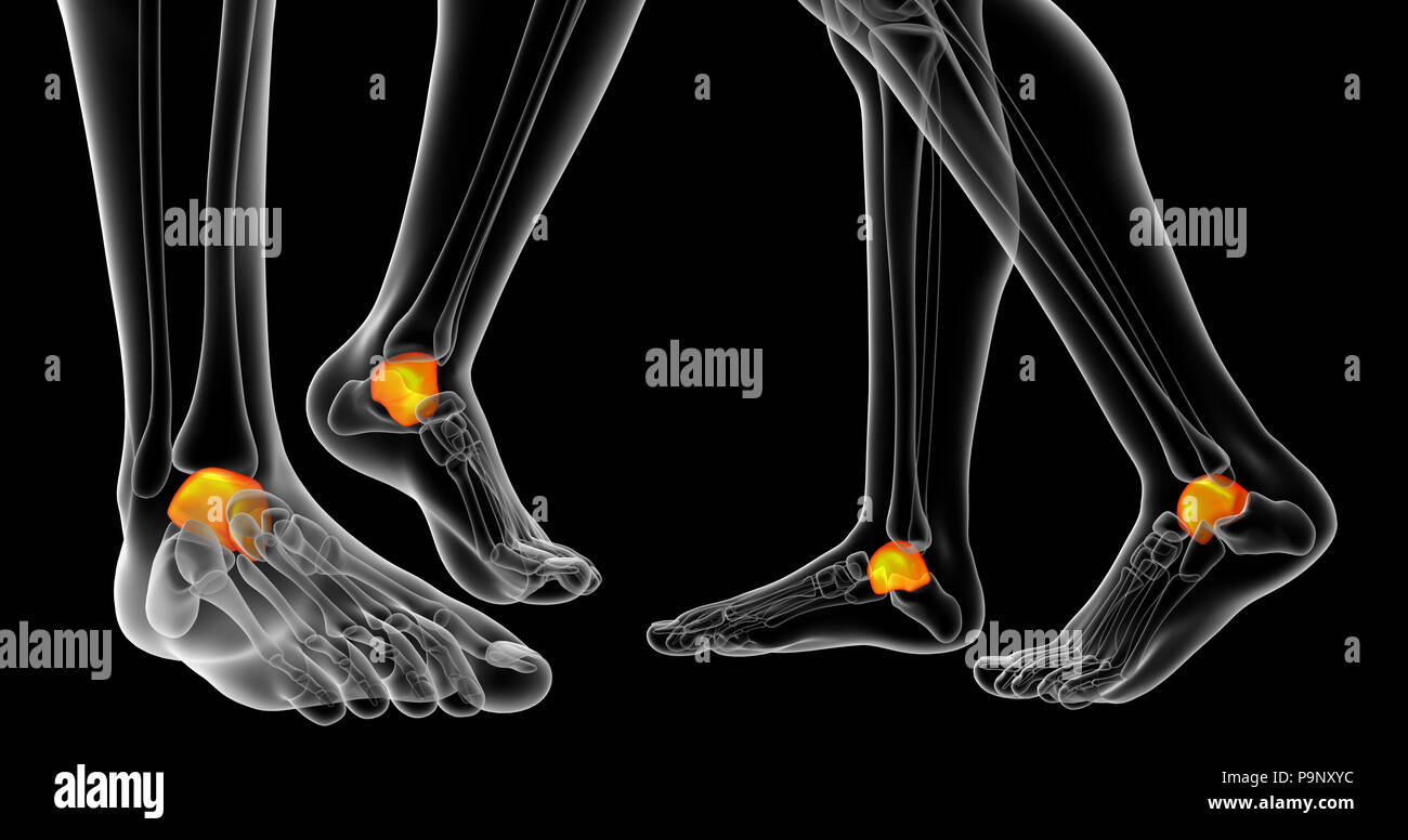 Le rendu 3D de la malléole Banque D'Images