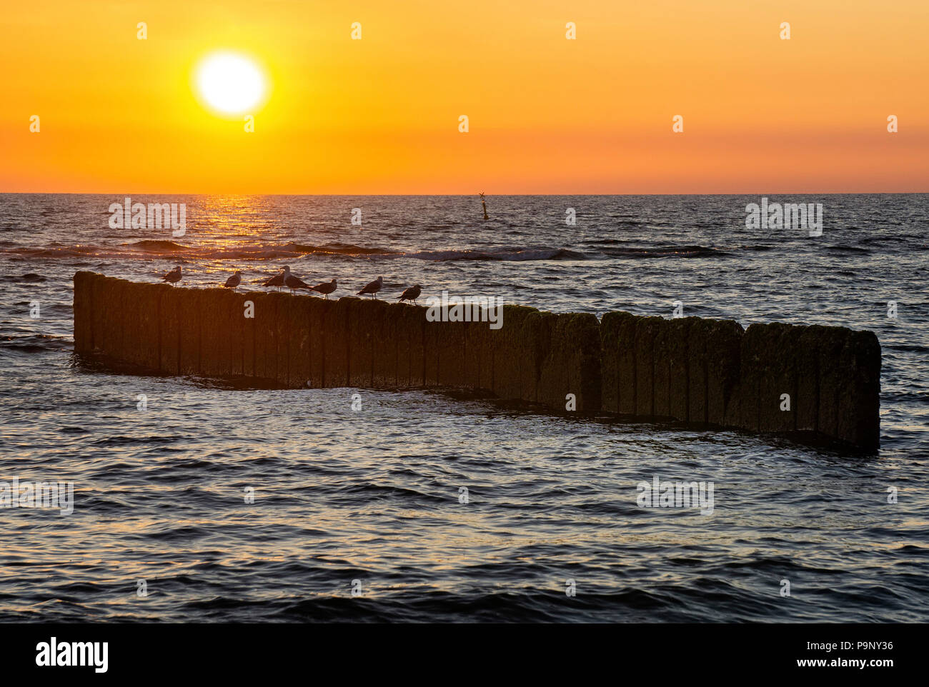 Coucher du soleil à Kampen Beach sur l'île de Sylt, Allemagne Banque D'Images