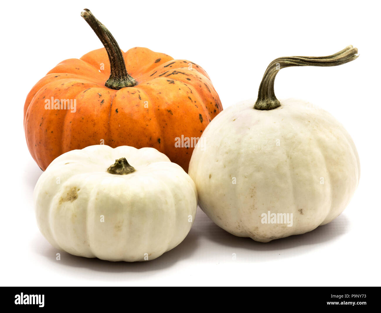 Deux blanche et une orange citrouille isolé sur fond blanc Banque D'Images