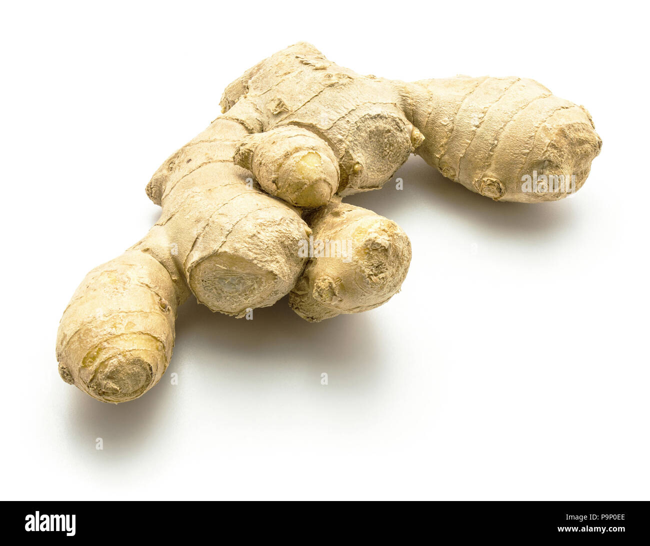 Tout un rhizome de gingembre isolé sur fond blanc Banque D'Images