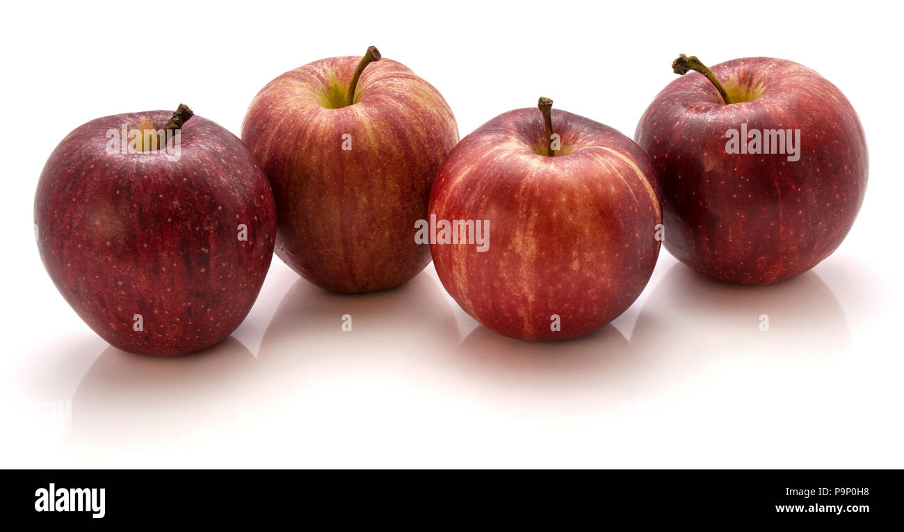 Quatre pommes Gala isolé sur fond blanc Banque D'Images