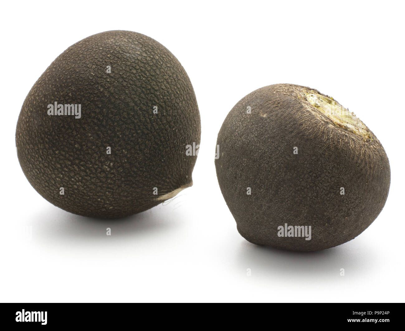 Deux ampoules de radis noir isolé sur fond blanc Banque D'Images