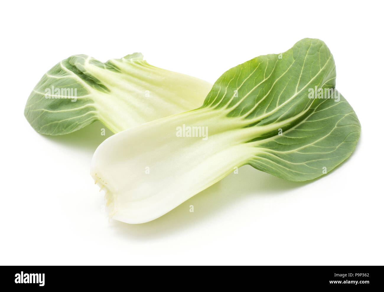 Deux le bok choy (Pak choi) feuilles isolées sur fond blanc Banque D'Images