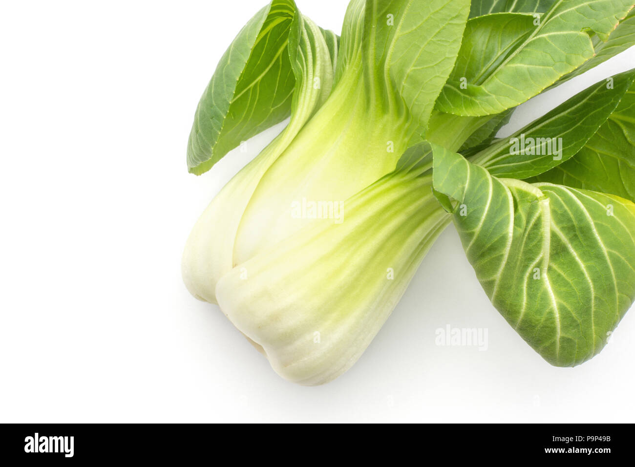 Un chou chinois (Pak choi) Vue de dessus isolé sur fond blanc Banque D'Images