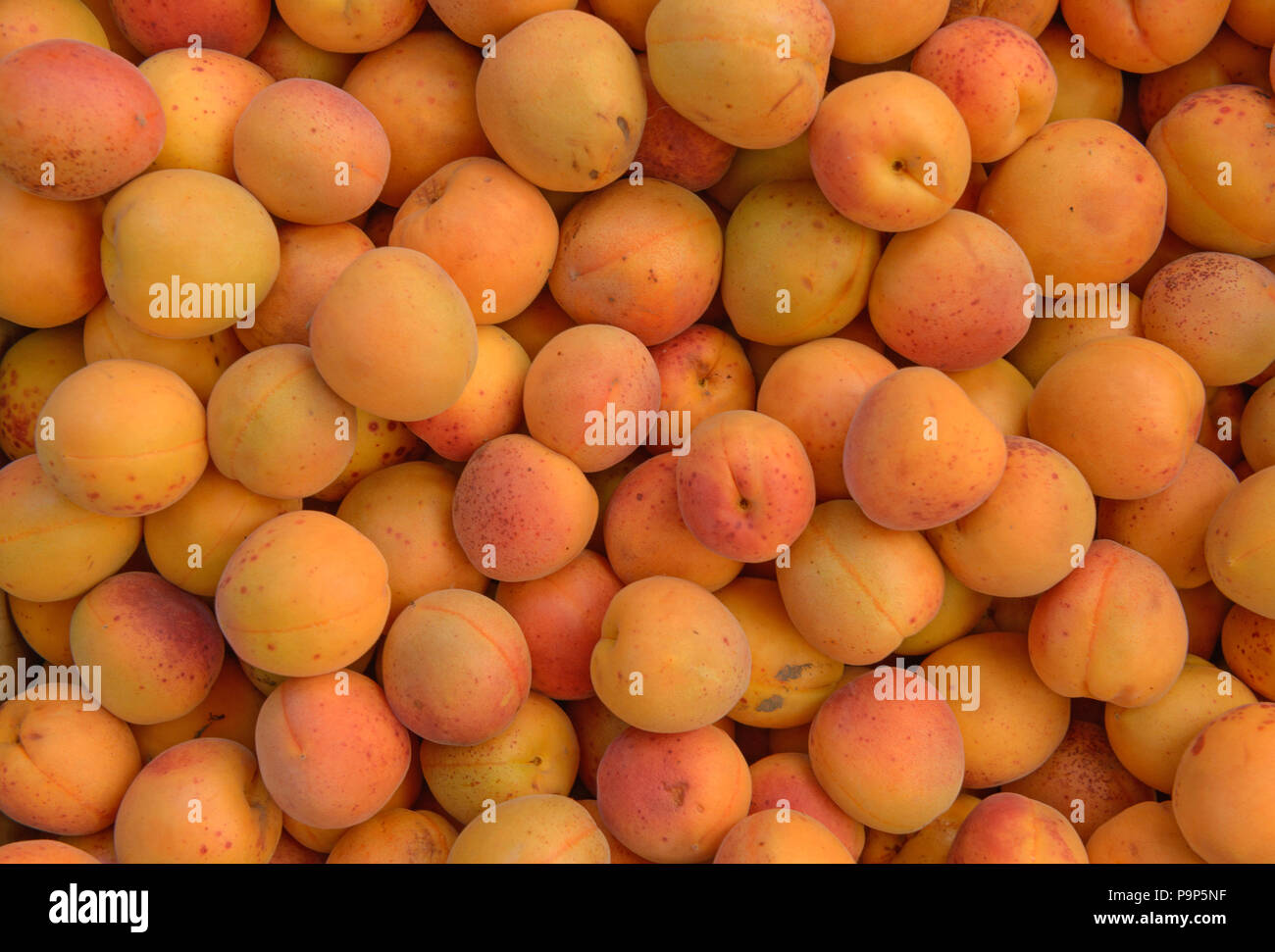 Couche épaisse de nombreux fruits abricot orange vif comme couleur de fond naturel. Banque D'Images