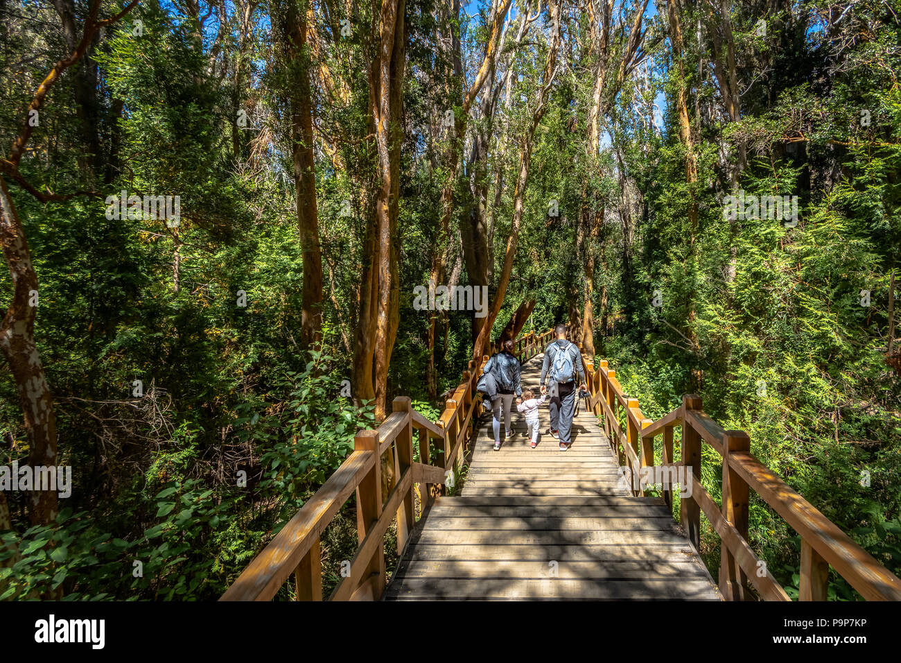 Villa La Angostura, Argentine - Mar 17, 2018 : chemin de la promenade au Parc National Arrayanes - Villa La Angostura, Patagonie, Argentine Banque D'Images