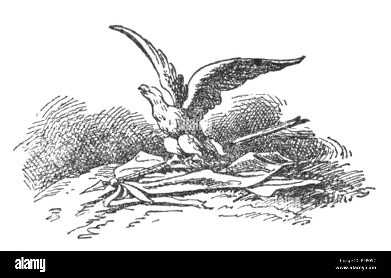 Bełza KwzdP 200 - - Orzeł Banque D'Images