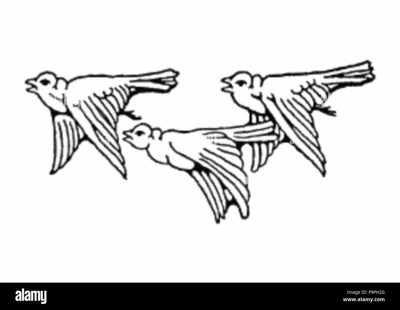205 Trio d'oiseaux Banque D'Images