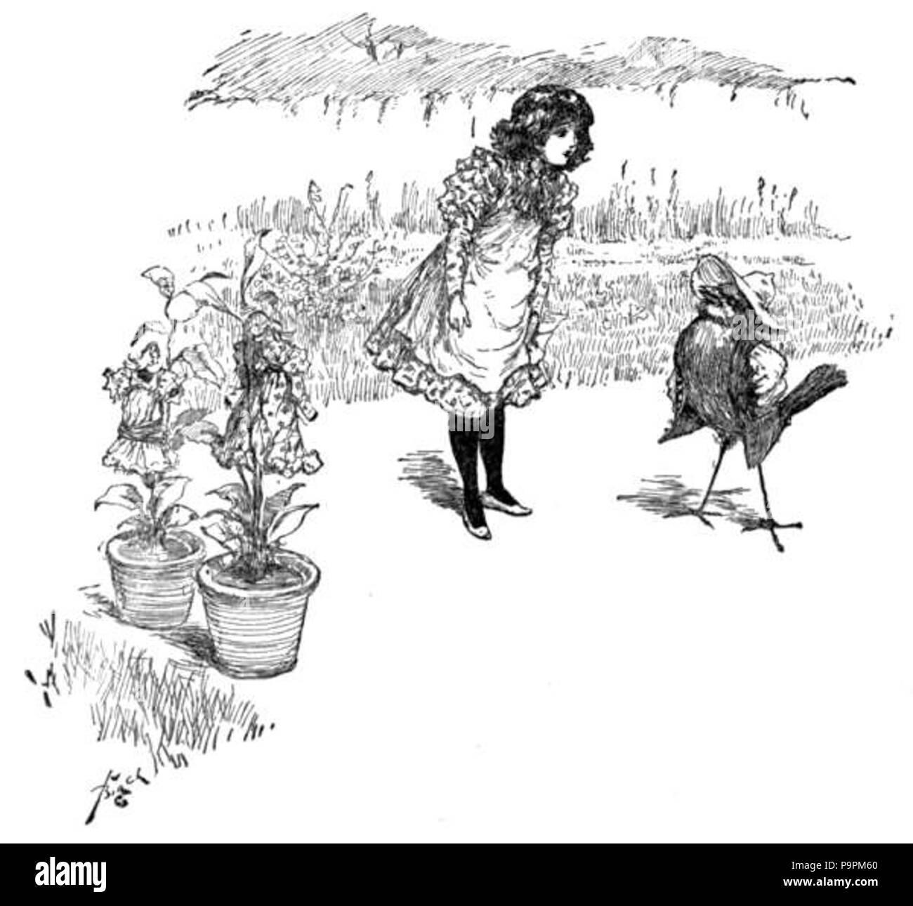 100 062-1 p Caravane Amiraux Banque D'Images