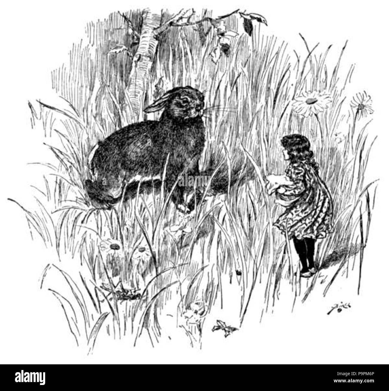 100 086-1 p Caravane Amiraux Banque D'Images