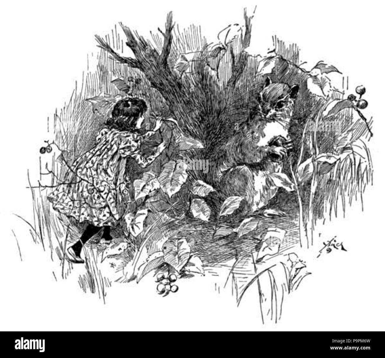 100 087-1 p Caravane Amiraux Banque D'Images