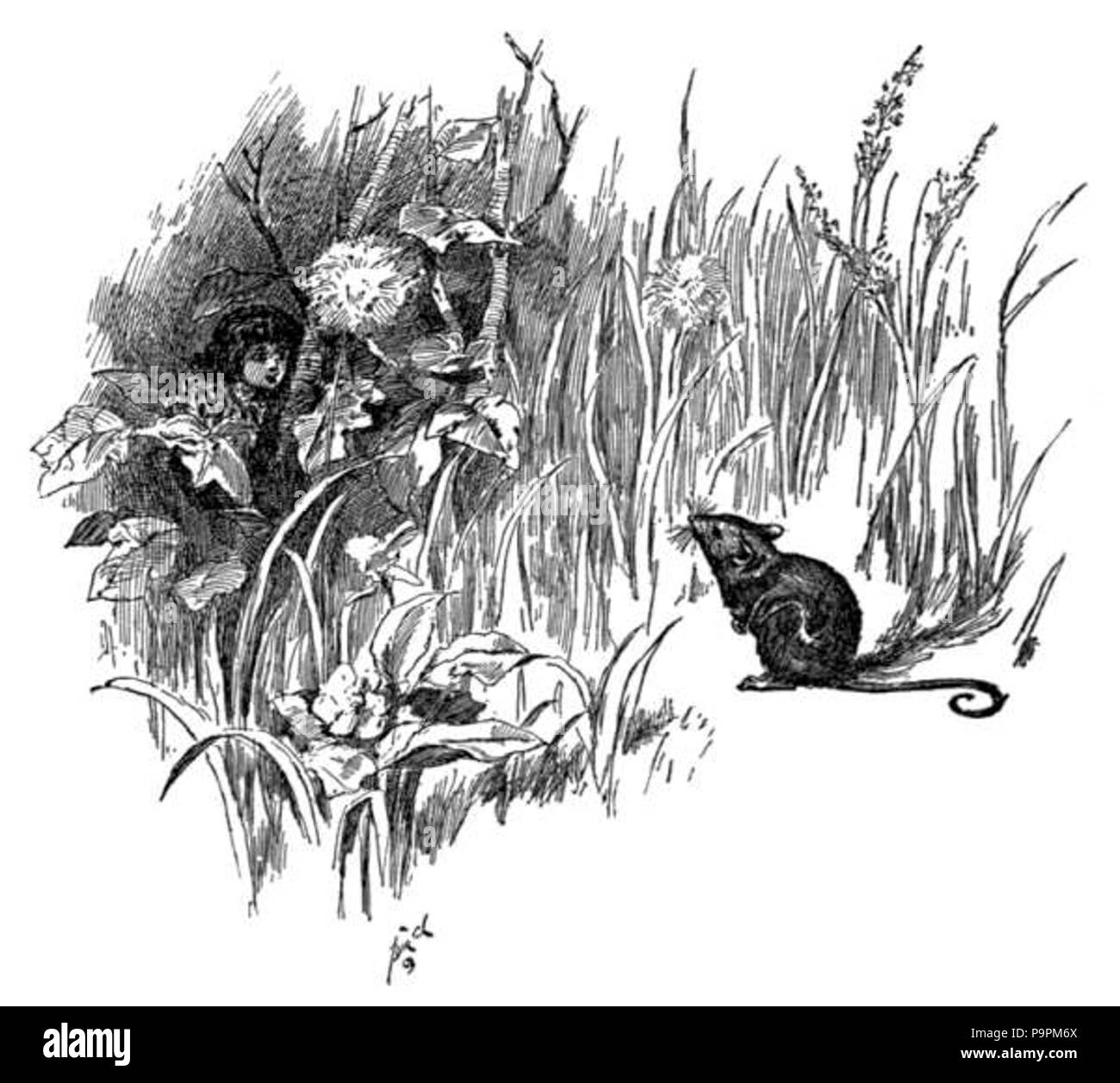 100 091-1 p Caravane Amiraux Banque D'Images