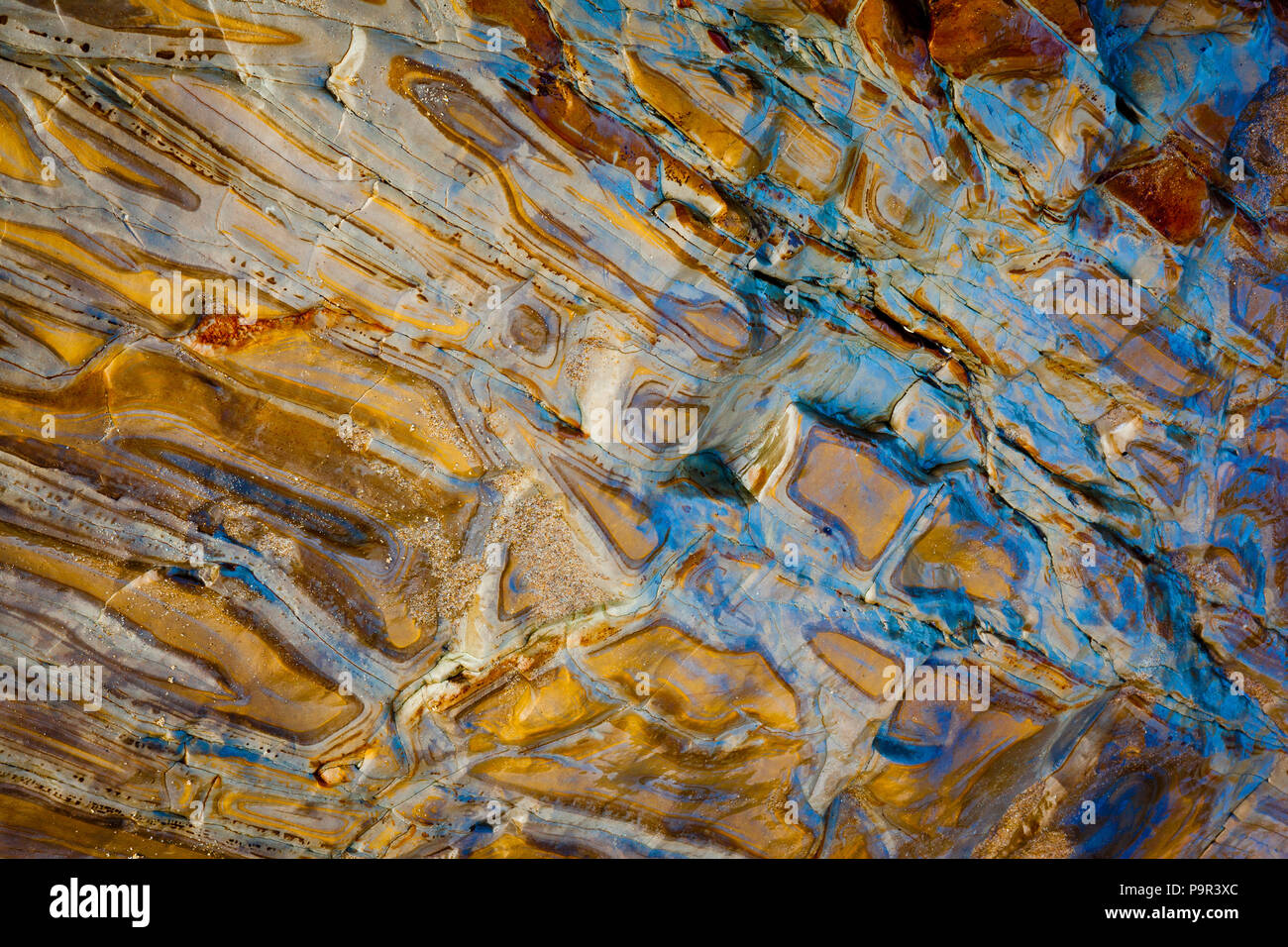 Rock humide colorés à Panther beach, à northe de Santa Cruz, en Californie, USA. Banque D'Images