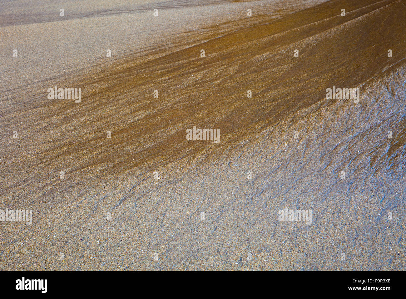 Plage de sable juste au nord de Santa Cruz, Californie, USA. Banque D'Images