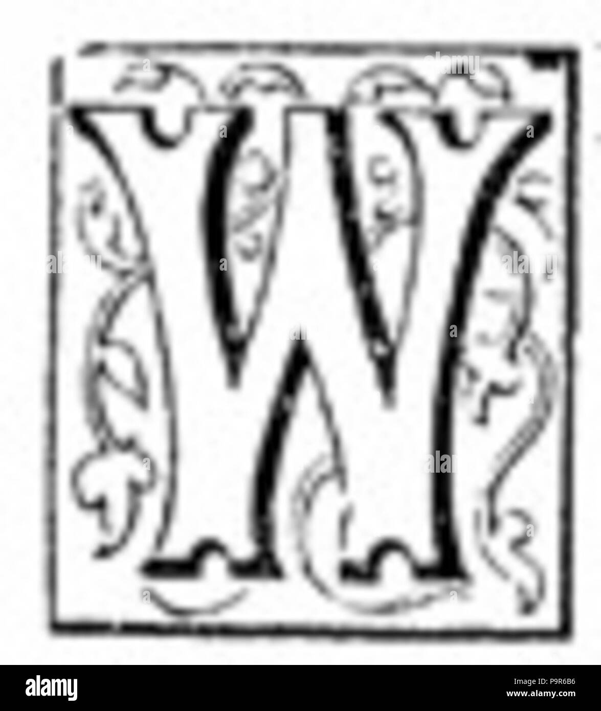 Bloc 211 Lettre W Banque D'Images