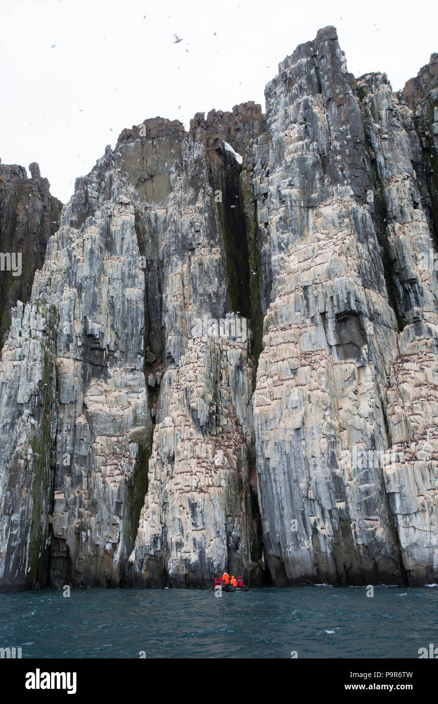 Falaises d'oiseaux de l'Arctique bondé à Alkefjellet, France avec un touriste Zodiac Banque D'Images